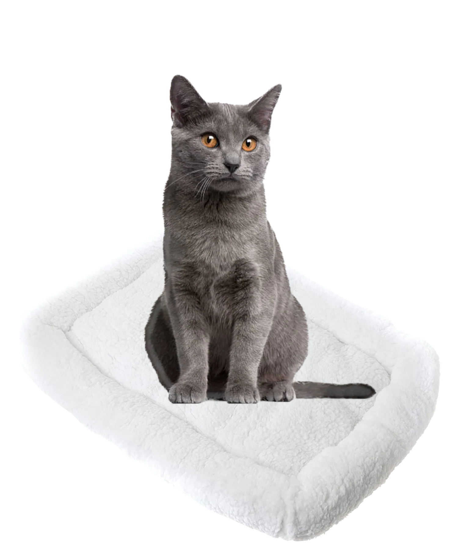 Pet Beds (Cats or other household creatures) - Image 11